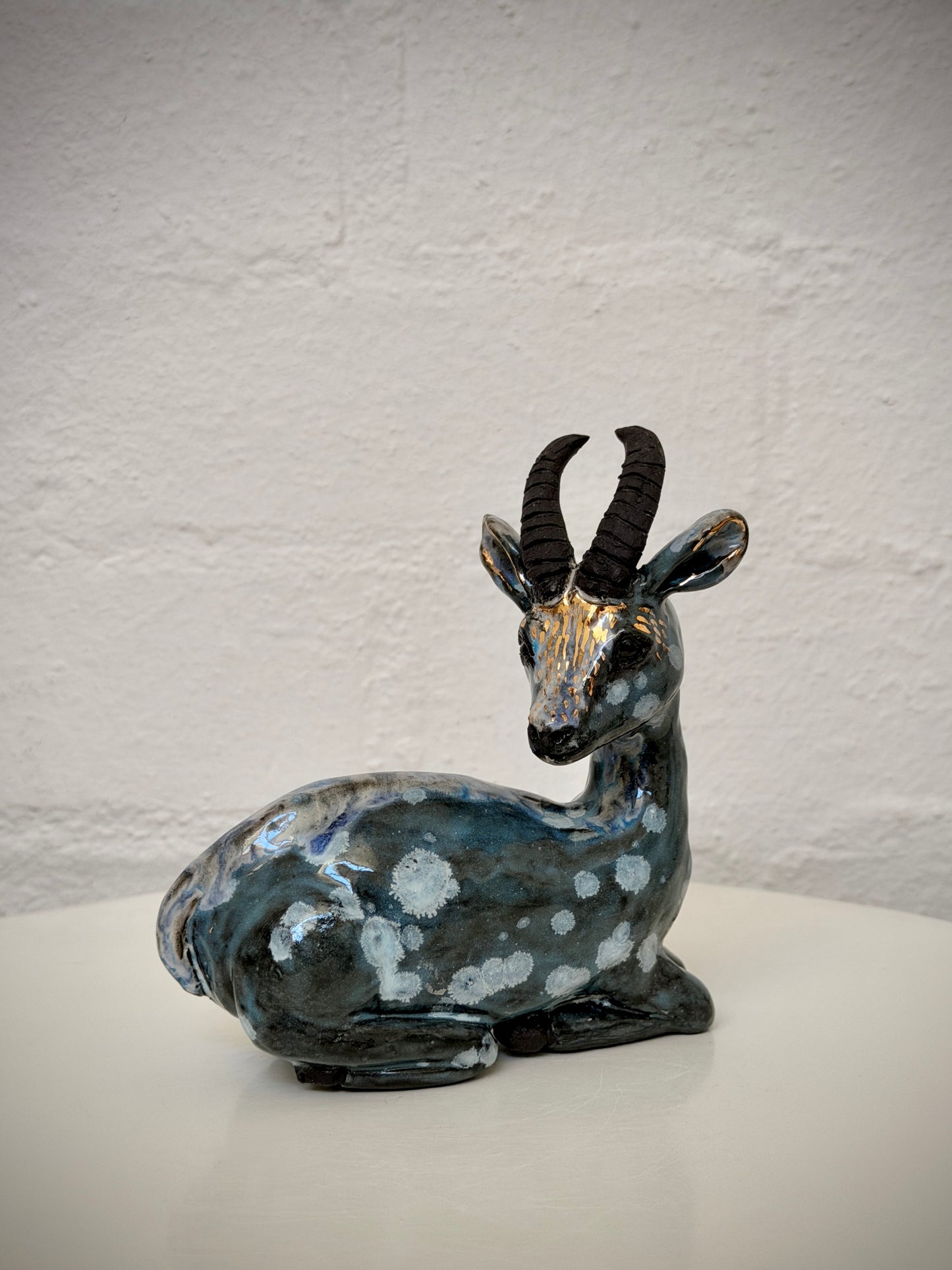 Sitting Springbok