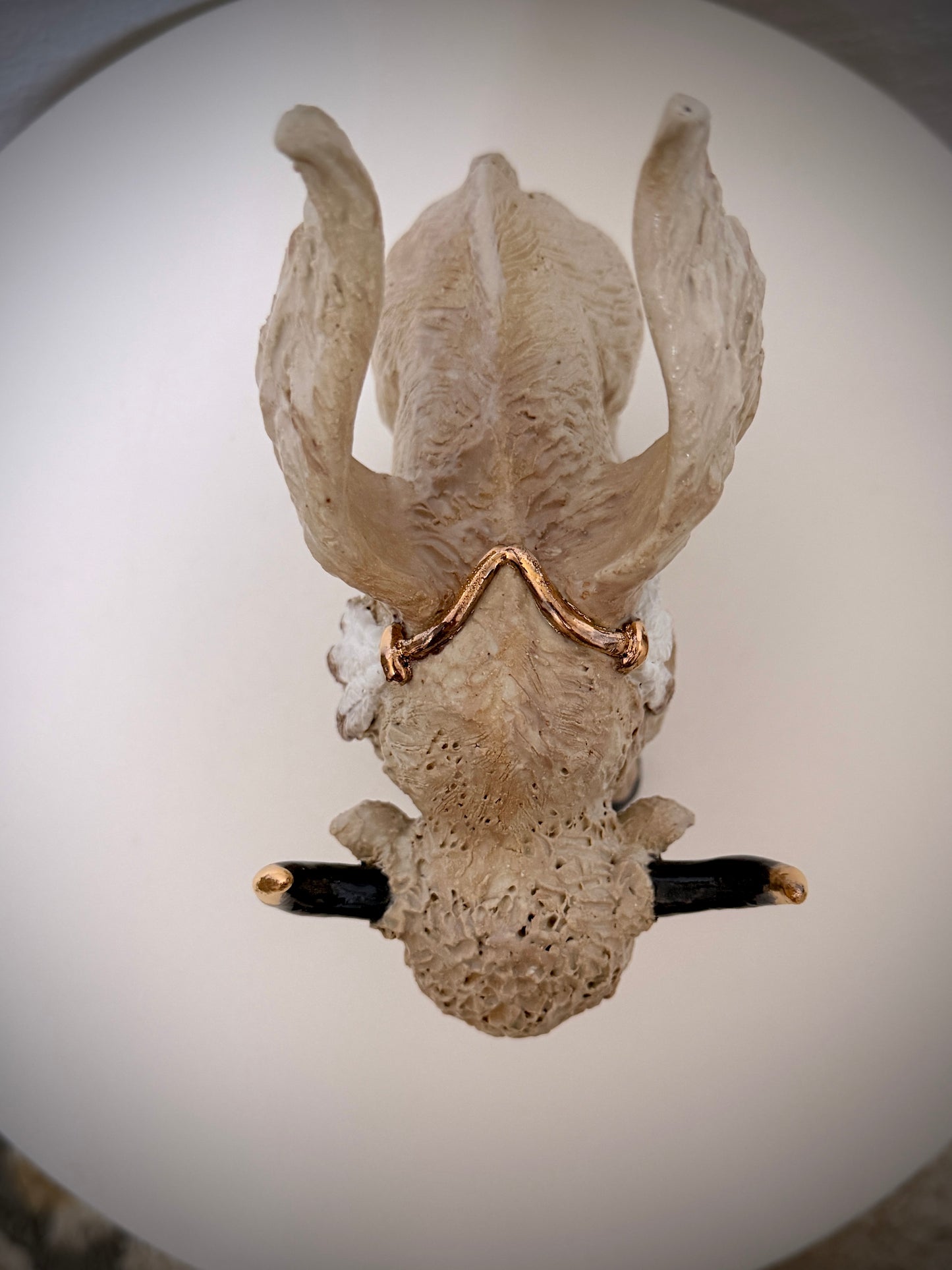 Winged White Buffalo