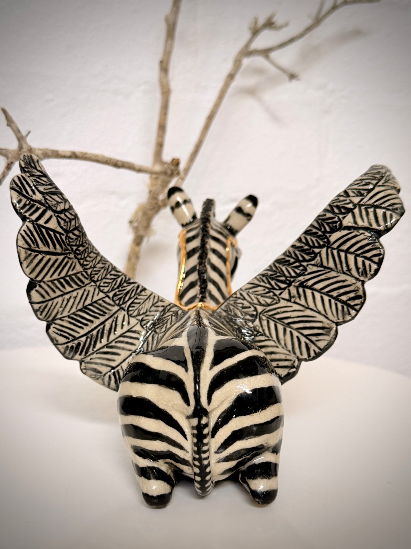Winged Zebra