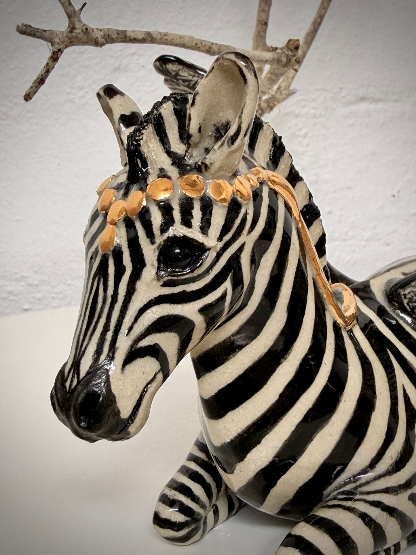 Winged Zebra