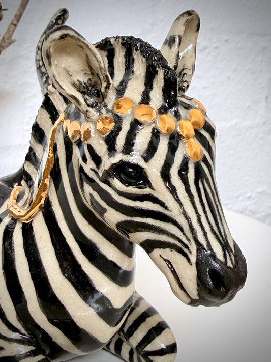 Winged Zebra