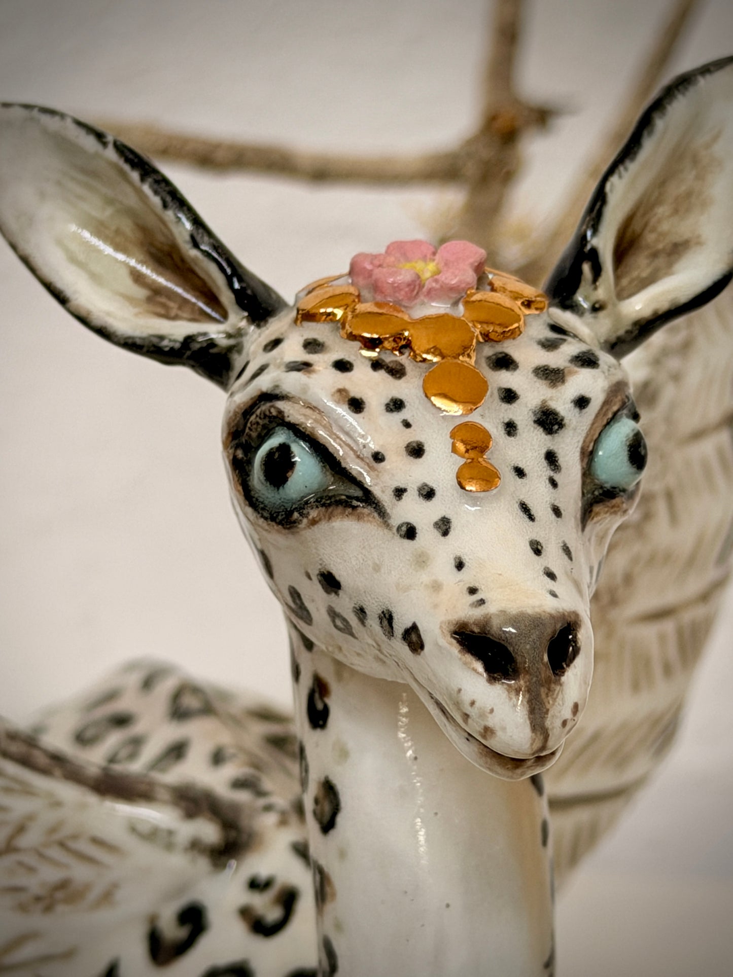 Winged Gerenuk in disguise