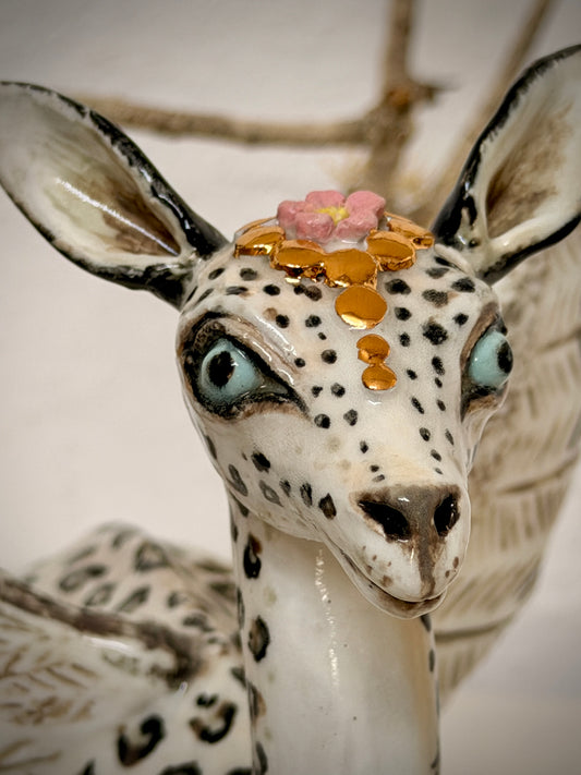 Winged Gerenuk in disguise