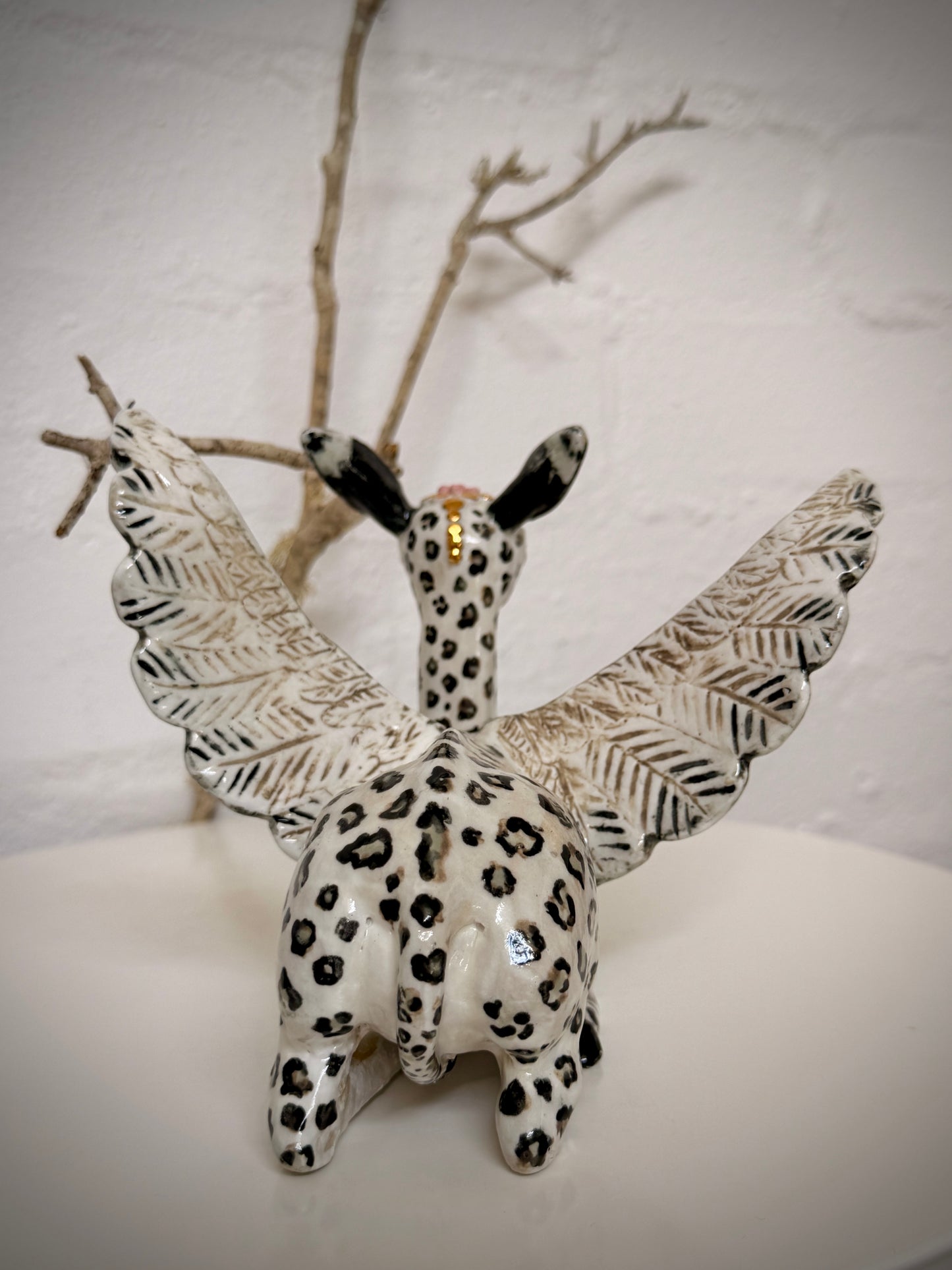 Winged Gerenuk in disguise
