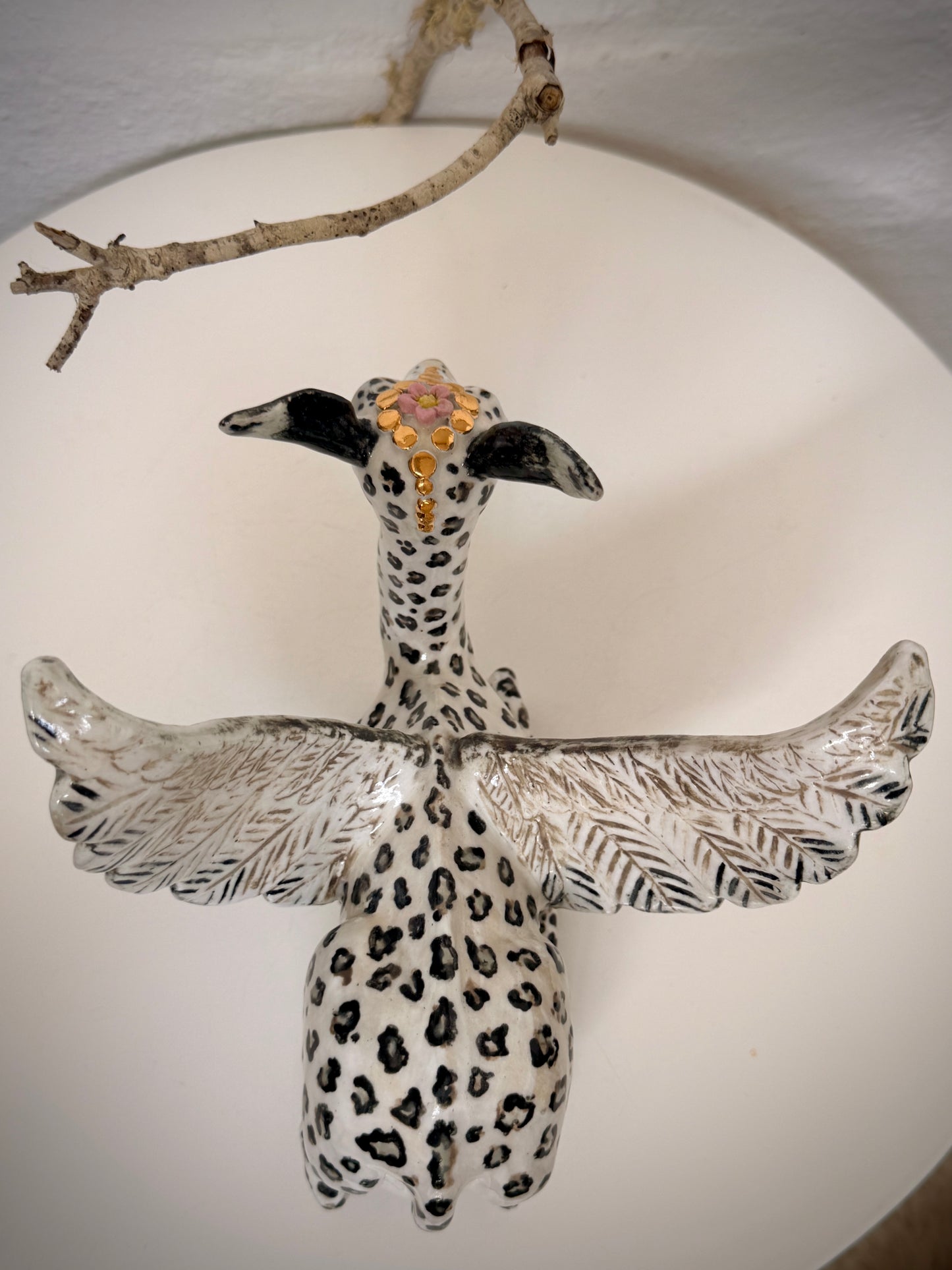 Winged Gerenuk in disguise