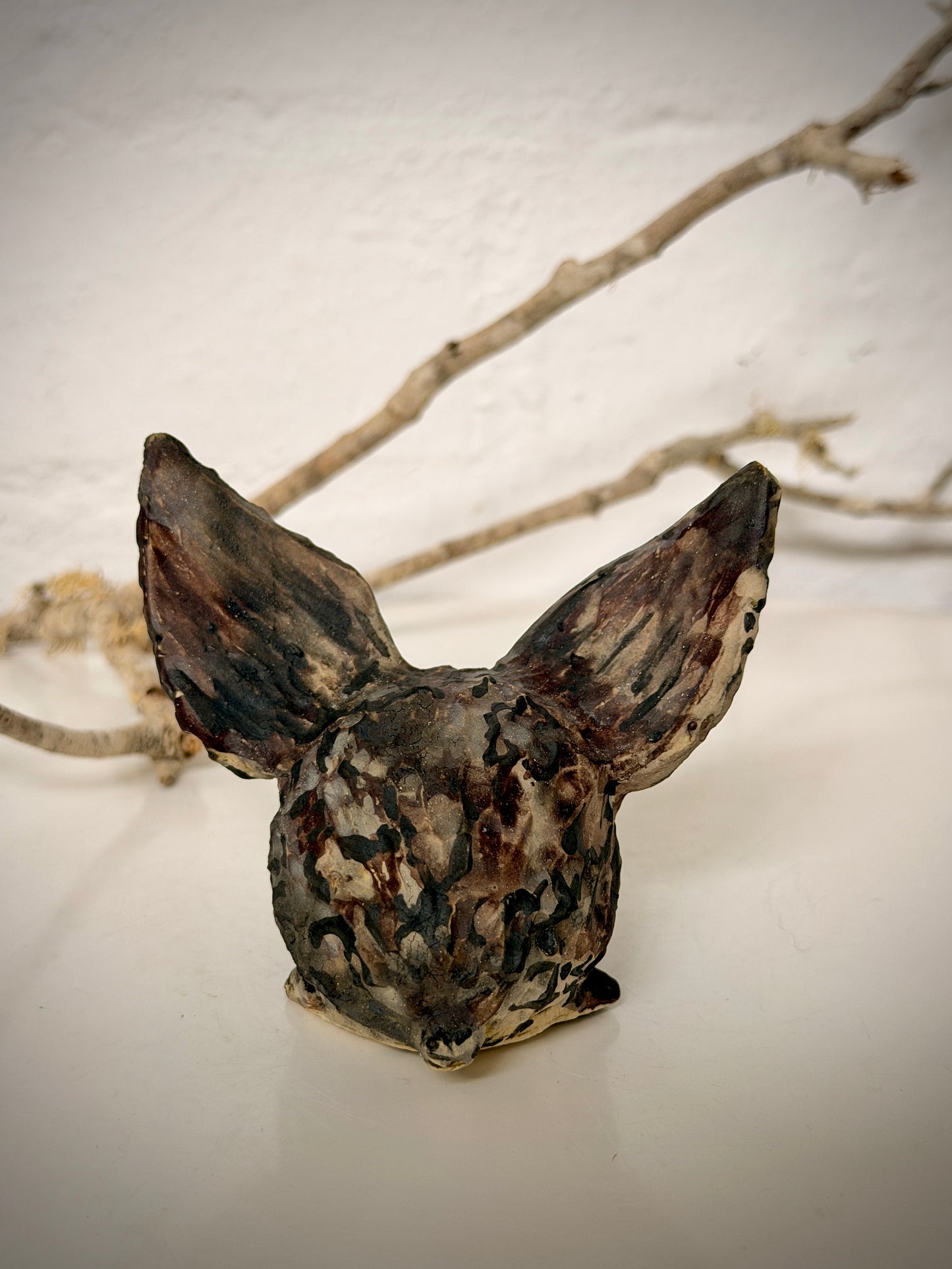 Winged hedgehog