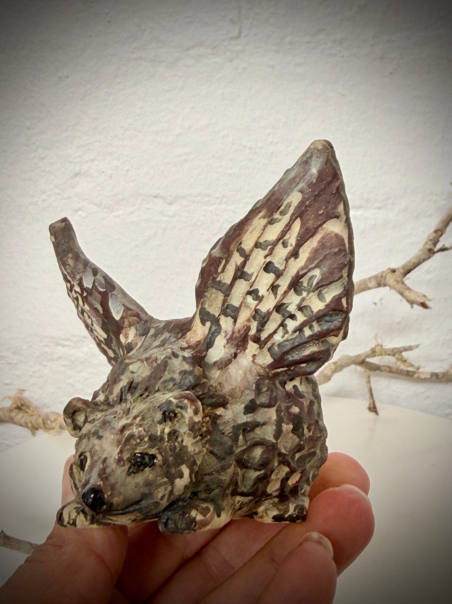 Winged hedgehog
