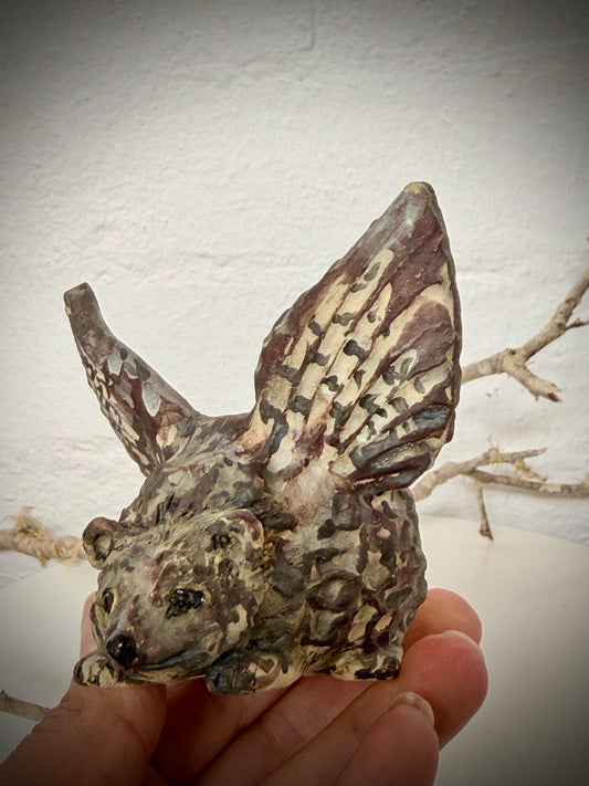 Winged hedgehog