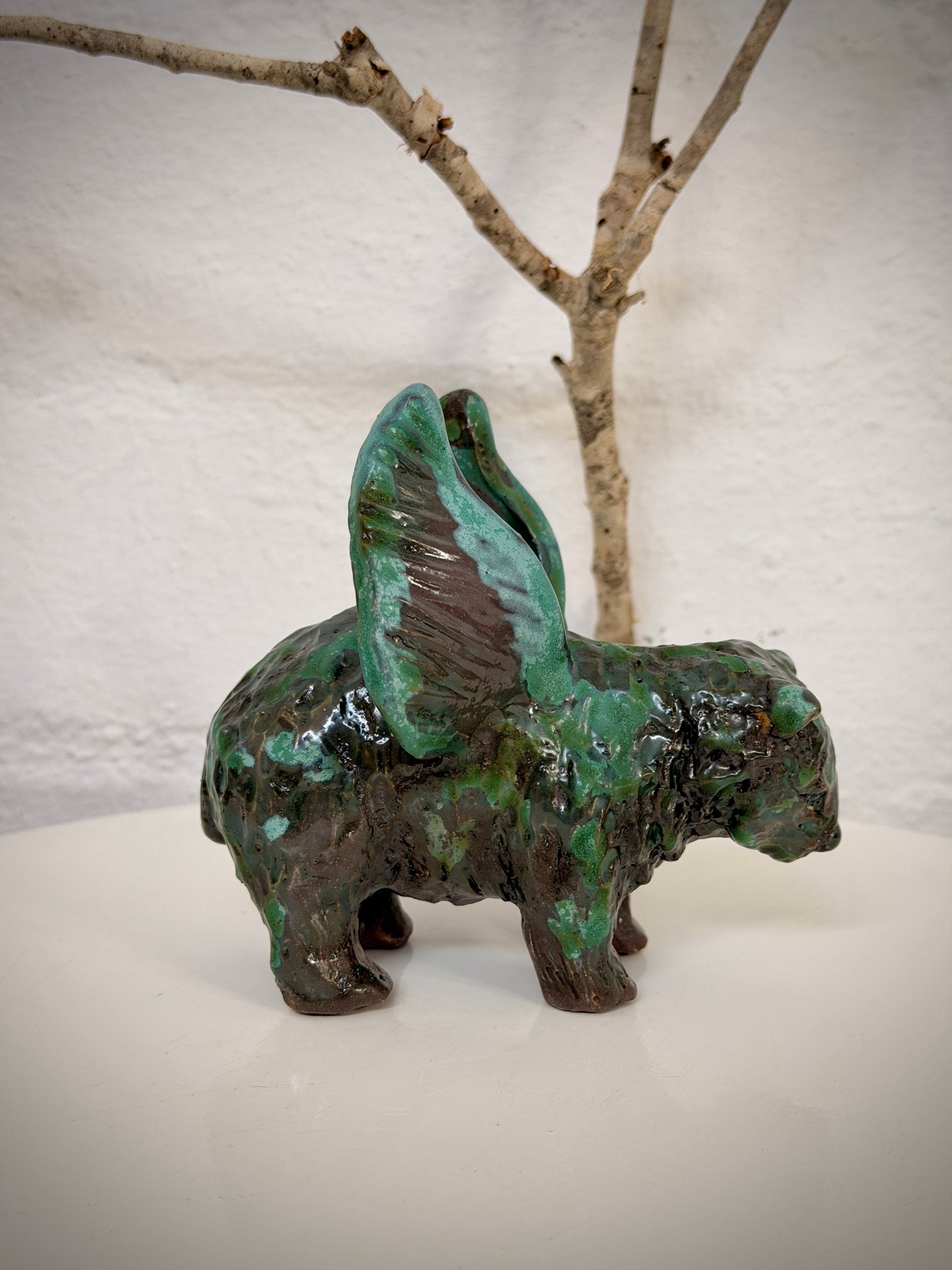 Winged Wombat