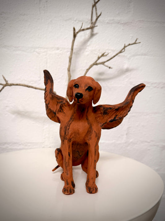Winged Hungarian Vizsla dog