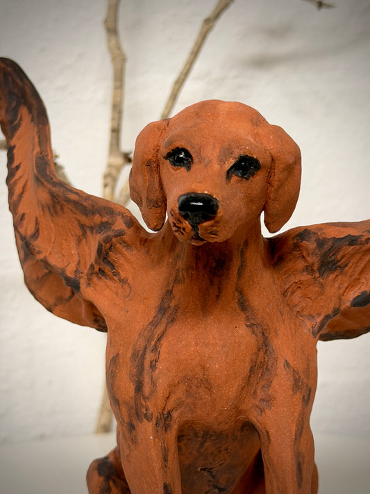 Winged Hungarian Vizsla dog