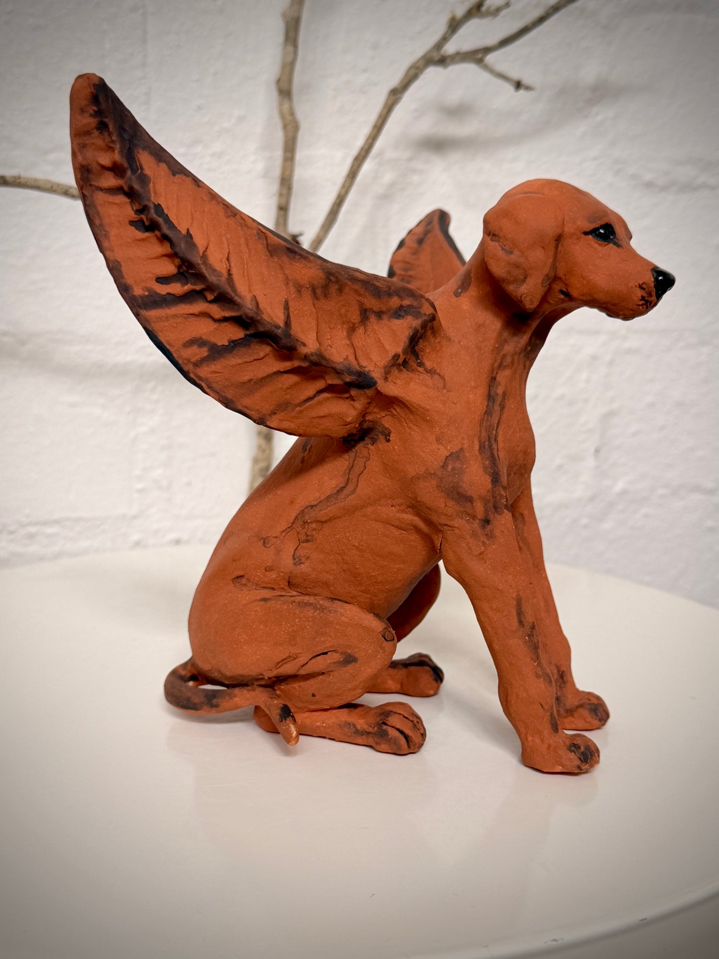 Winged Hungarian Vizsla dog