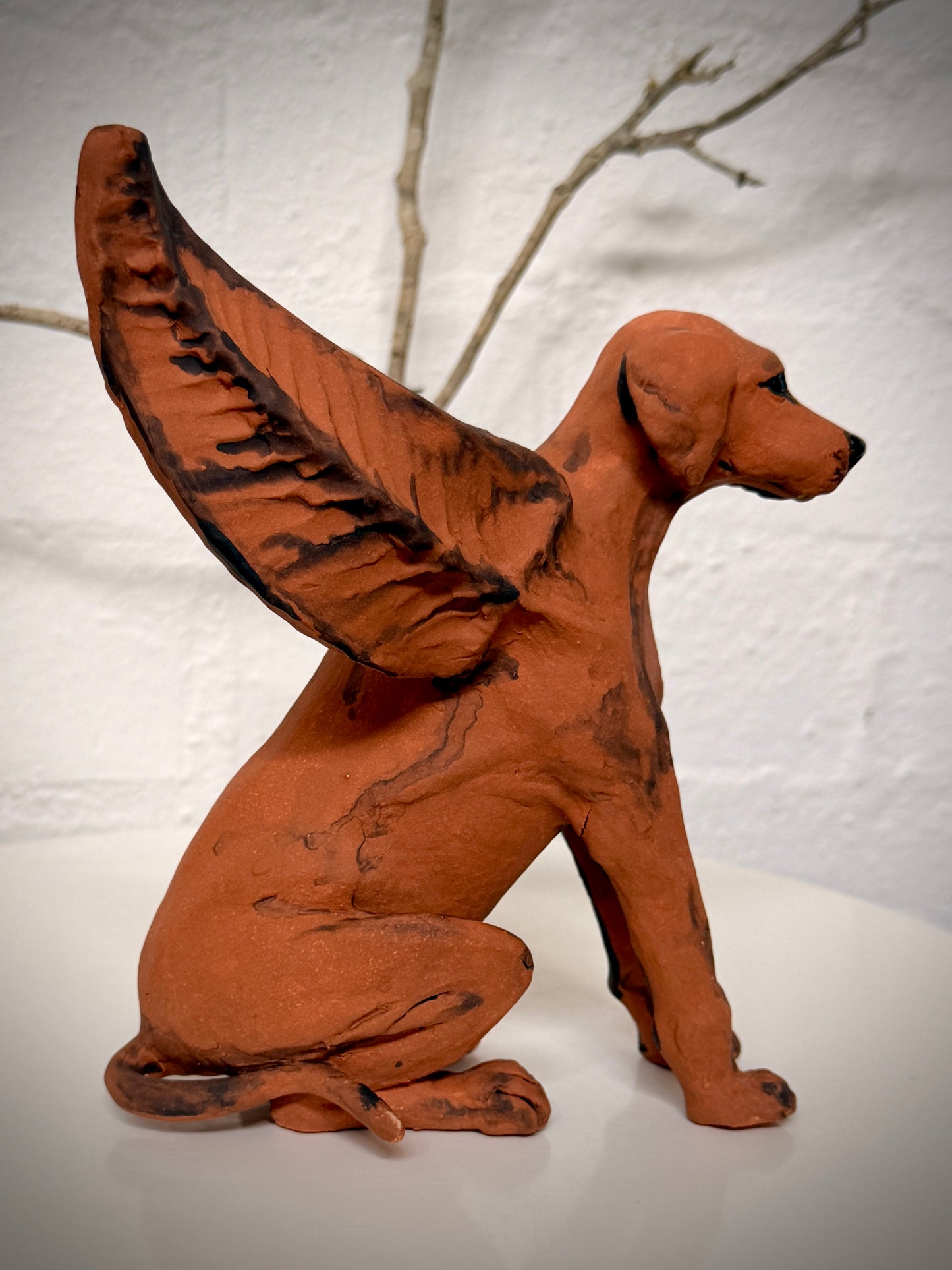 Winged Hungarian Vizsla dog