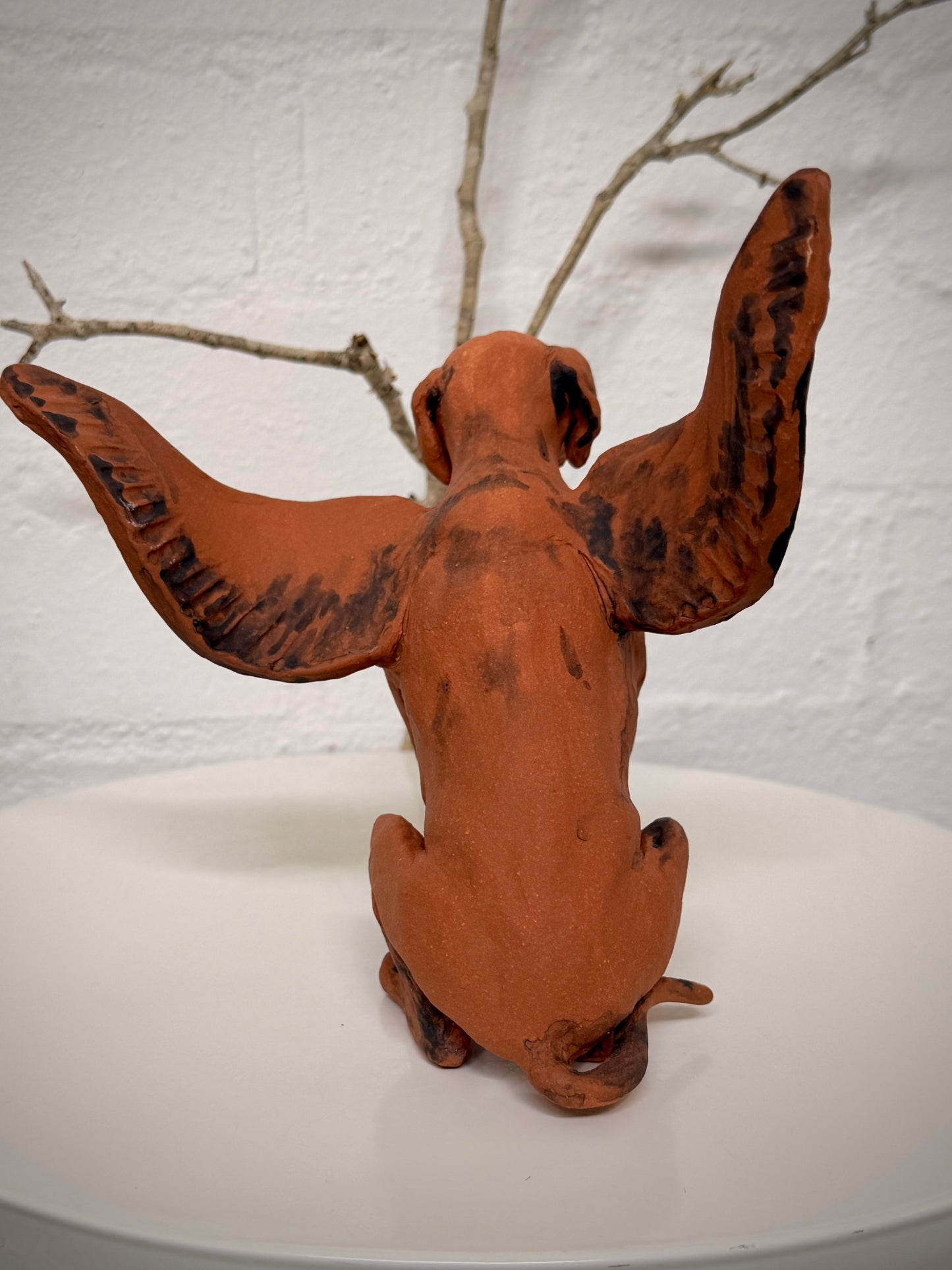Winged Hungarian Vizsla dog