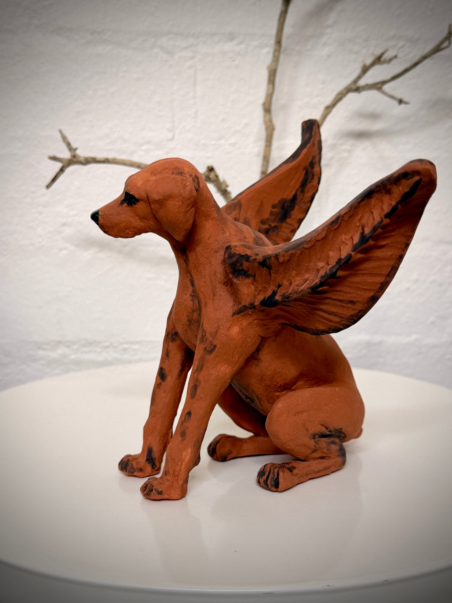 Winged Hungarian Vizsla dog