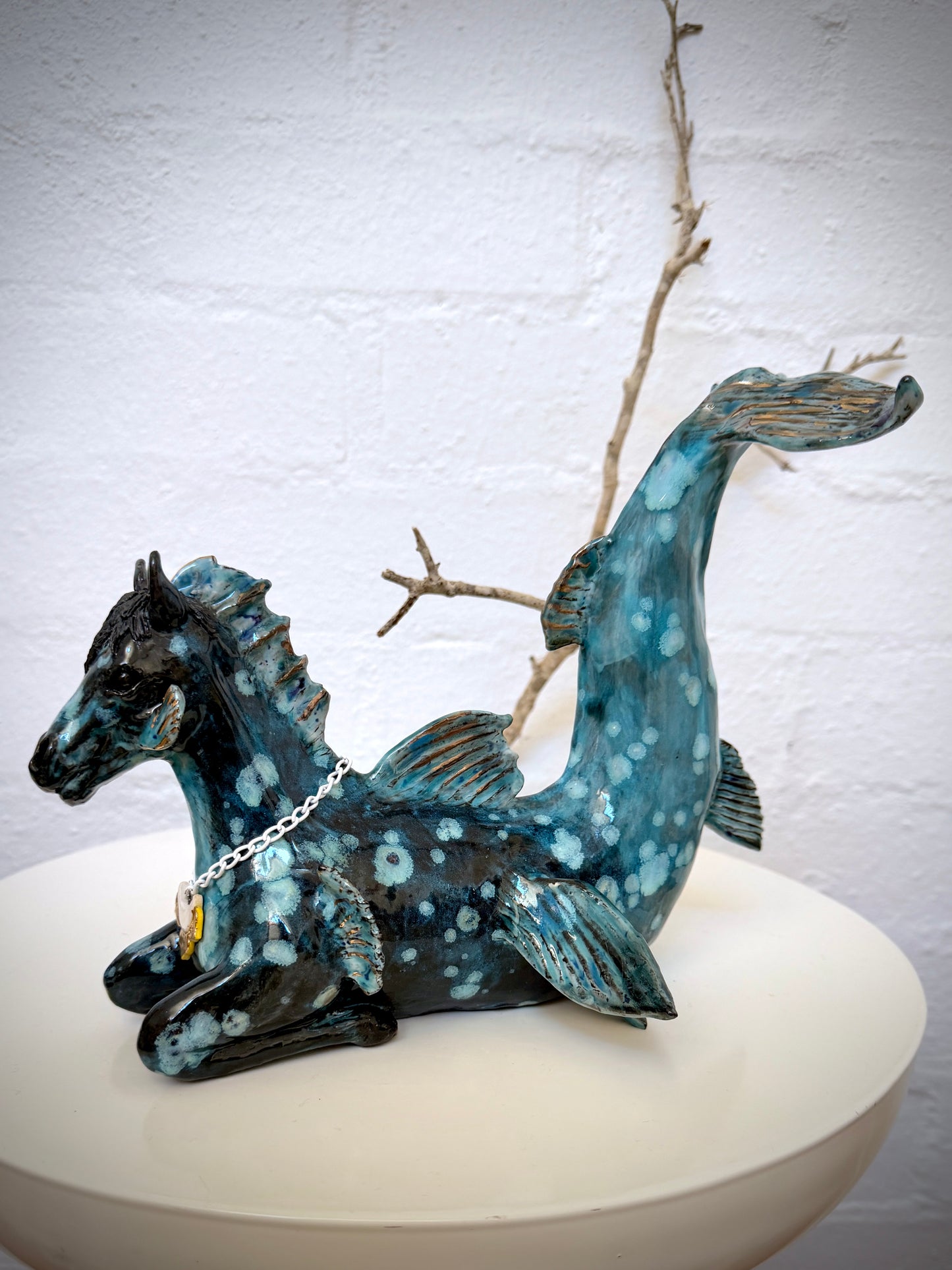 Hippocampus the water~horse
