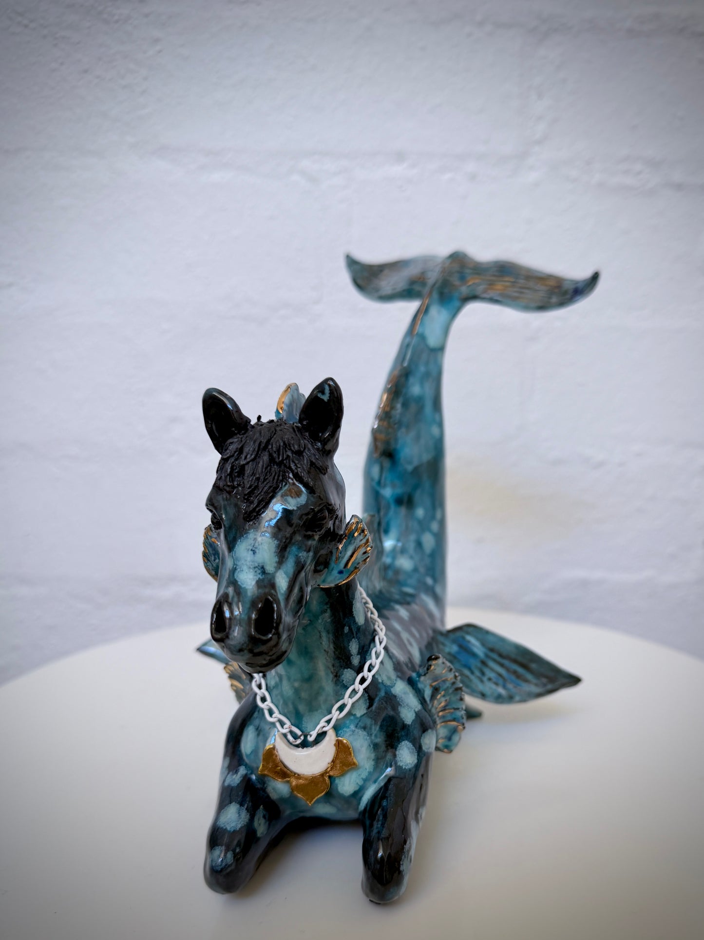 Hippocampus the water~horse
