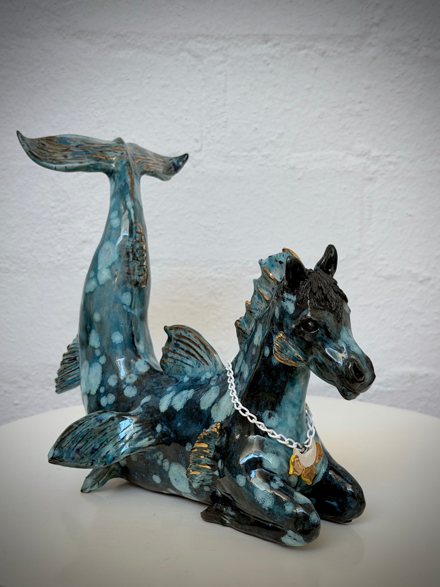Hippocampus the water~horse