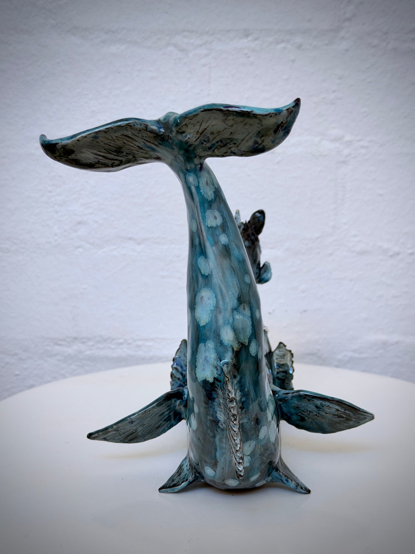Hippocampus the water~horse