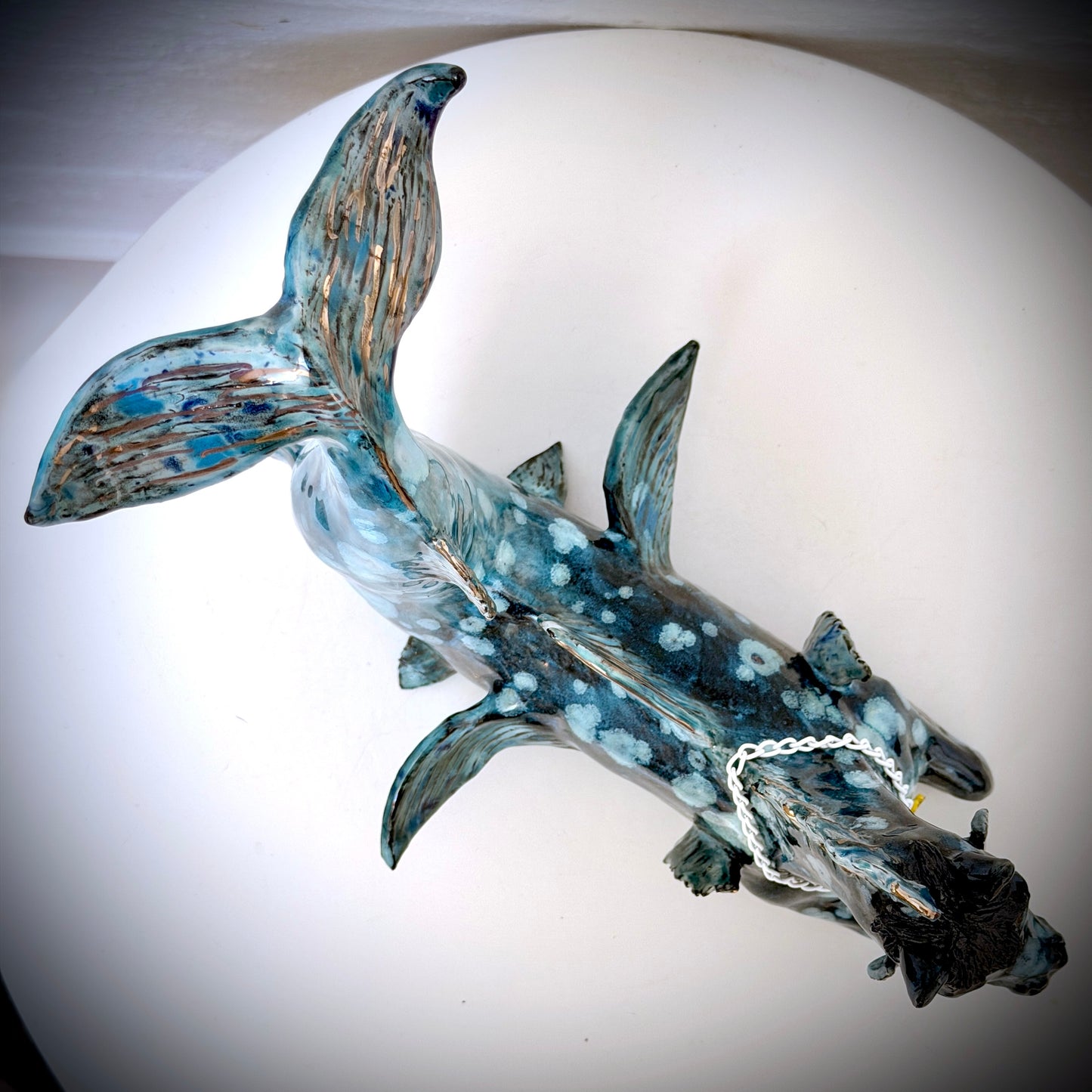 Hippocampus the water~horse