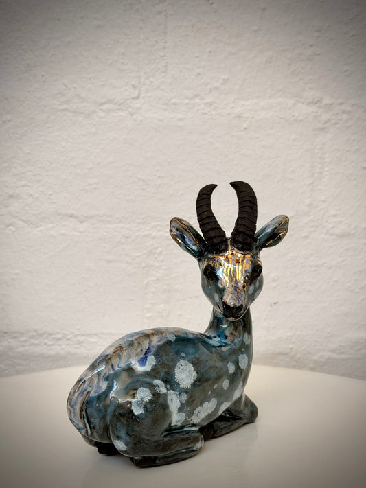 Sitting Springbok