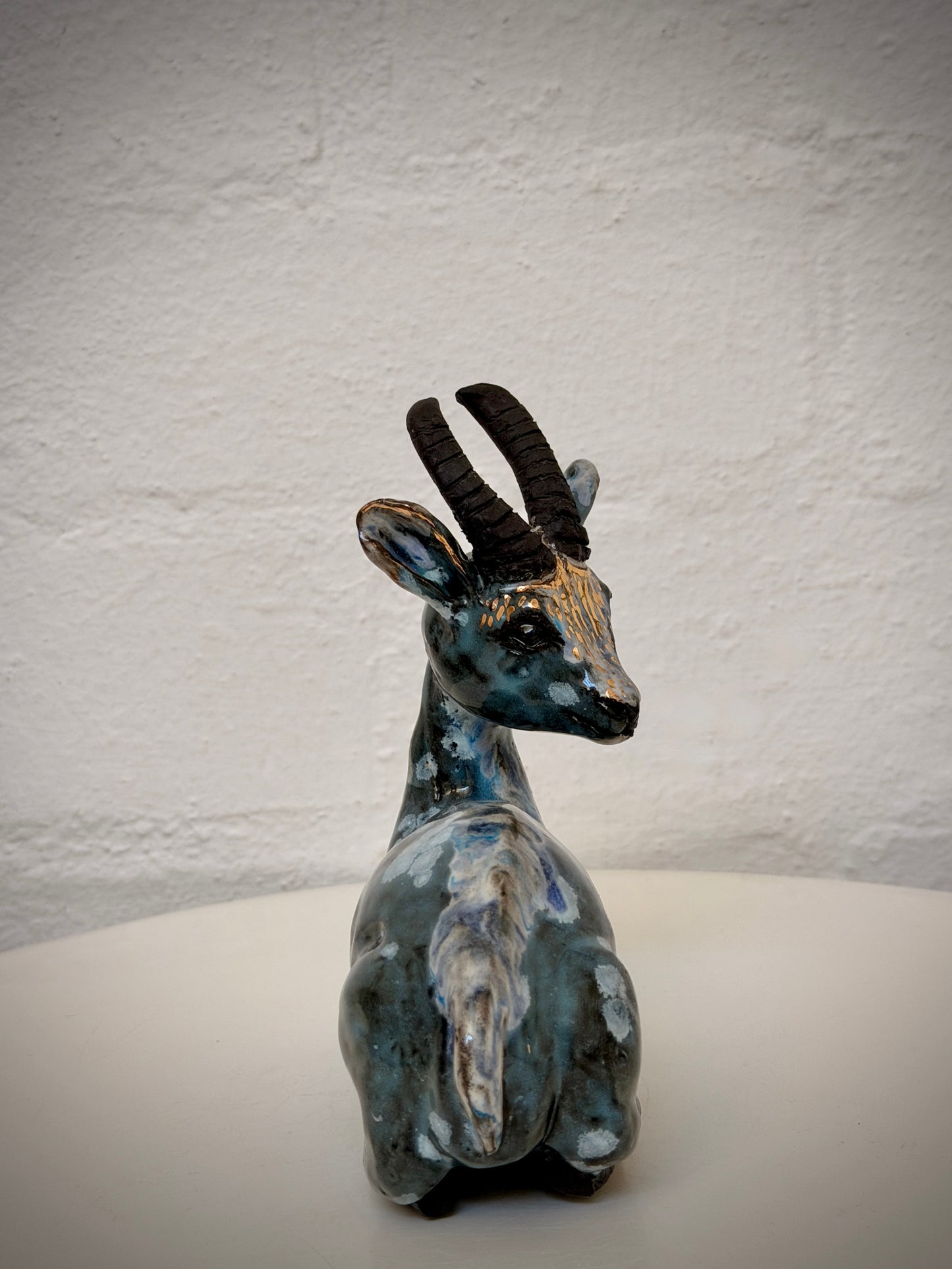 Sitting Springbok