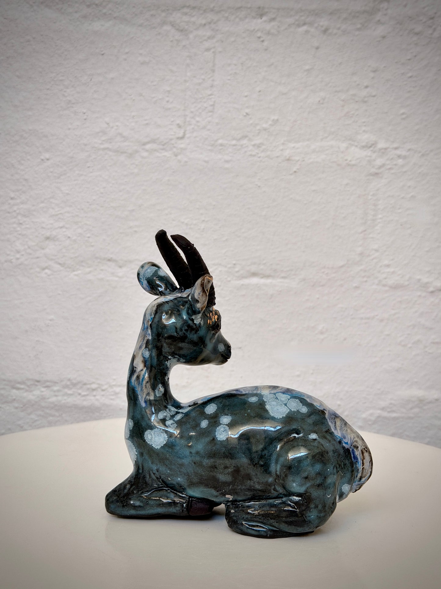 Sitting Springbok