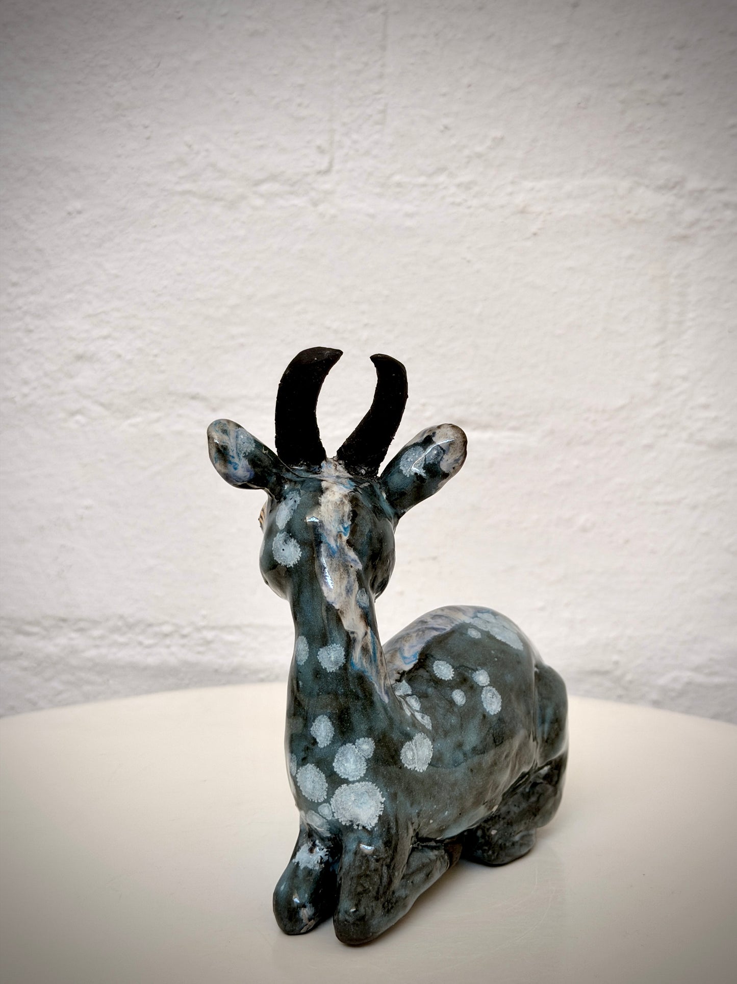 Sitting Springbok