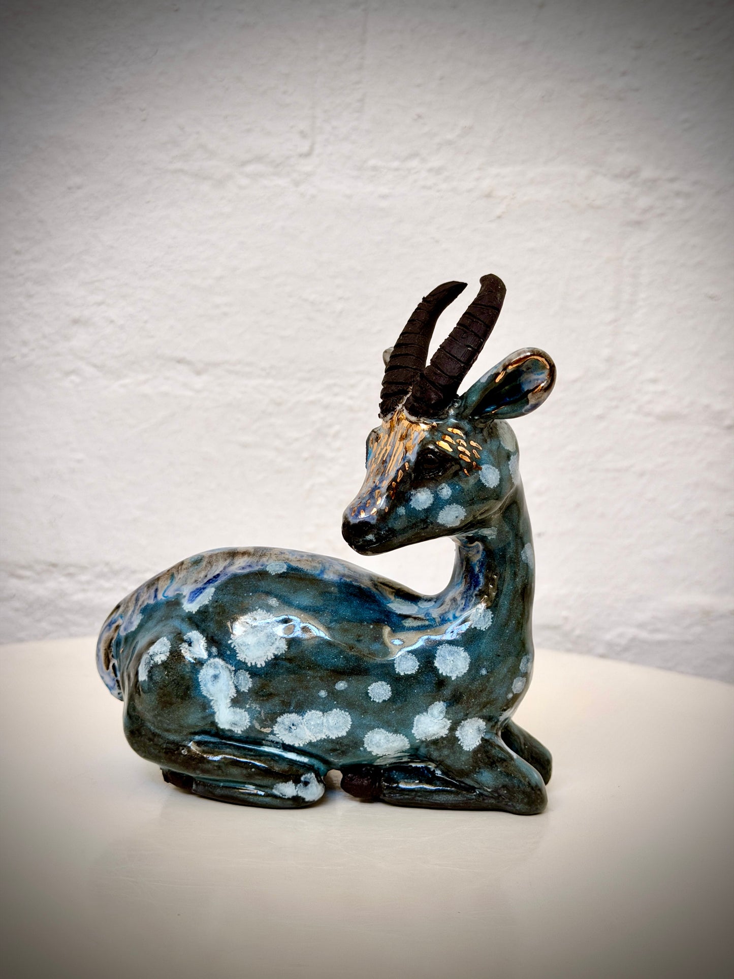 Sitting Springbok