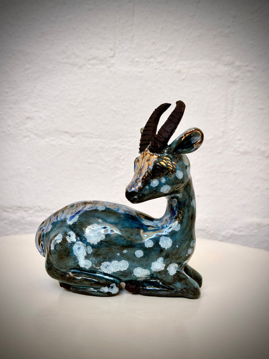 Sitting Springbok