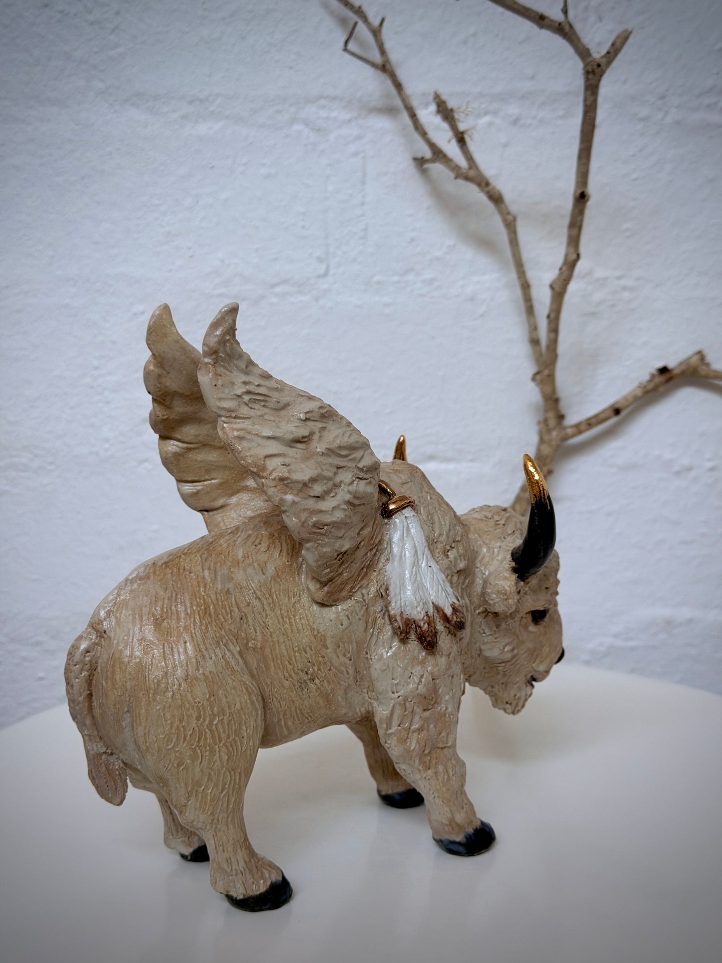 Winged White Buffalo