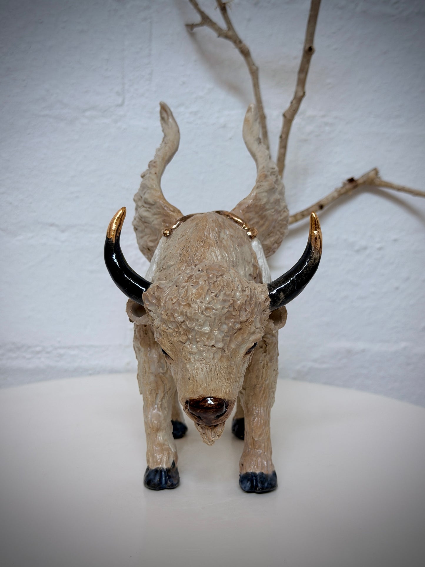 Winged White Buffalo