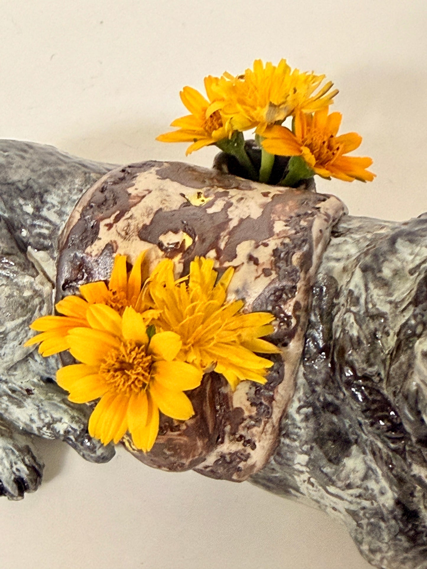 Wild Wolf Talisman